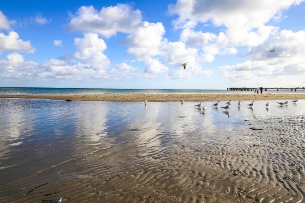 Ferienwohnung Seesternchen 2 Scharbeutz Esterno foto